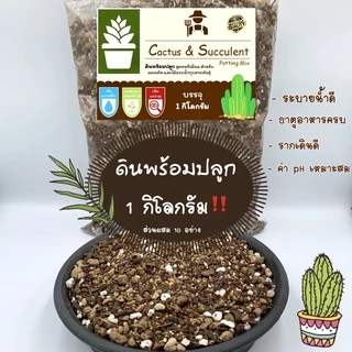 1กก.‼️ ดินปลูกแคคตัส ดินปลูกกระบองเพชร ไม้อวบน้ำ สูตรพิเศษ บำรุงต้น เร่งดอก