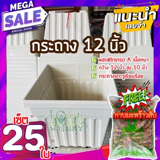 เซ็ต 25 ใบ ฟรี🔸กาบมะพร้าวสับ กระถางต้นไม้ 12” กระถางขาว กระถางปลูกต้นไม้ กระถางกุหลาบ กระถางปลูกบอน กระถางใหญ่ เนื้อดี