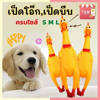 ของเล่นสุนัข ของเล่นแมว ไก่บีบ