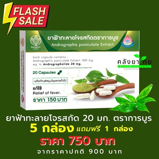 5 ฟรี 1 การบูร แคปซูลฟ้าทะลายโจรสกัด  20 แคปซูล ANDROGRAPHIS EXTRACT ปริมาณแอนโดรกราโฟไลด์ ไม่น้อยกว่า 20 มก./แคปซูล