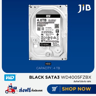 WD  HDD (ฮาร์ดดิสก์) 4 TB BLACK 7200RPM SATA3 (WD4005FZBX)