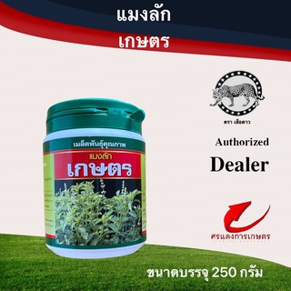 เมล็ดพันธุ์ แมงลักเสือดาว 250g