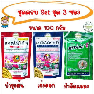 ❤️ชุดสุดคุ้ม❤️ปุ๋ยออสโมโค้ท ชุด 3 ซอง ปุ๋ยออสโมโค้ท สูตรบำรุงต้น สูตรเร่งดอก ปุ๋ยเทอร์โมโค้ท สตาร์เกิลจี อิมิดาโกลด์ จี