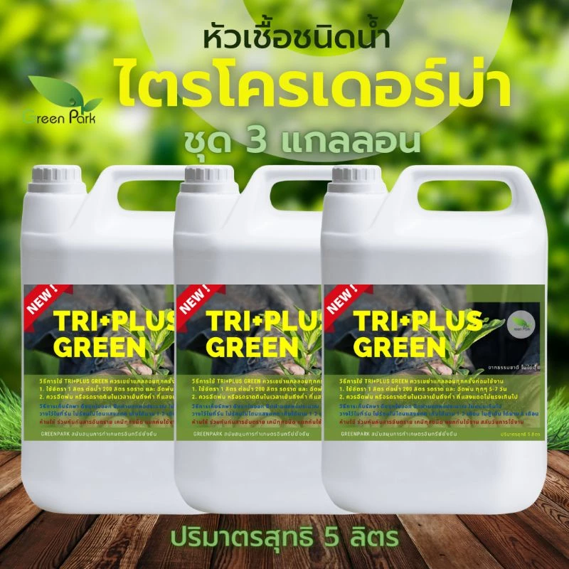 ไตรโคเดอร์มา เชื้อสด ชนิดน้ำ ชุด 3 แกลลอน ( 5 ลิตร ×3) หัวเชื้อ กันราก โคนเน่า ใบหงิก แคงเกอร์ ใบจุด ไม้ด่าง Trichoderma