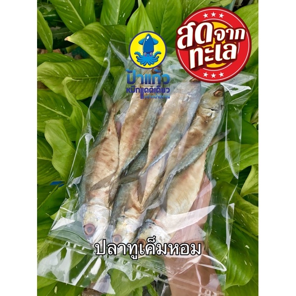 ปลาทูเค็มหอม ครึ่งกิโลกรัม ตัวใหญ่ ไม่เค็มมาก ครึ่งกิโลกรัม 5-6 ตัว