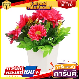 🌈BEST🌈 กระถางเยอบีร่า ฟ้าและดอกไม้ สีชมพู ARTIFICIAL GERBERA IN POT SKY AND FLOWER PINK 🛺💨