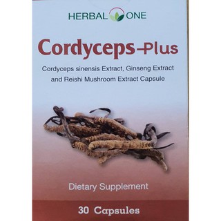 cordyceps-plus#ตังถั่งเฉ้า พลัส#สารสกัดจากตังถั่งเช่า#herberone