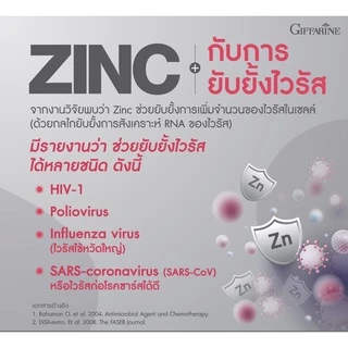 ซิงก์แคปซูล ซิงก์ แอนด์ คอลลาเจน กิฟฟารีน ZINC & COLLAGEN GIFFARINE