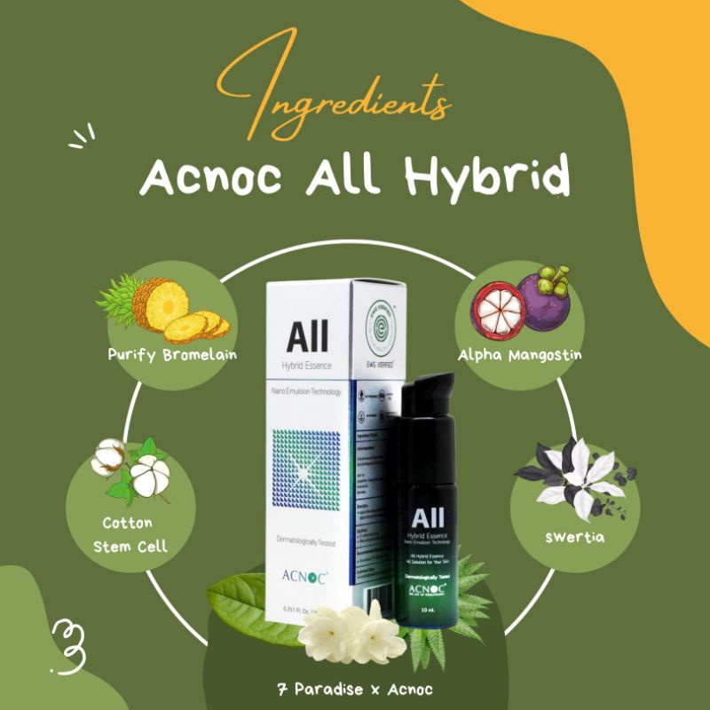 Acnoc All Hybrid เอสเซนส์ลดเลือนฝ้า กระ จุดด่างดำ ได้อย่างมีประสิทธิภาพในหนึ่งเดียว