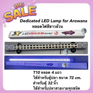 Dedicated LED Lamp for Arowana หลอดไฟสีขาวล้วน  T10 หลอด 4 แถวใช้สำหรับตู้ปลา ขนาด 72 cm. สำหรับตู้ 32 นิ้ว