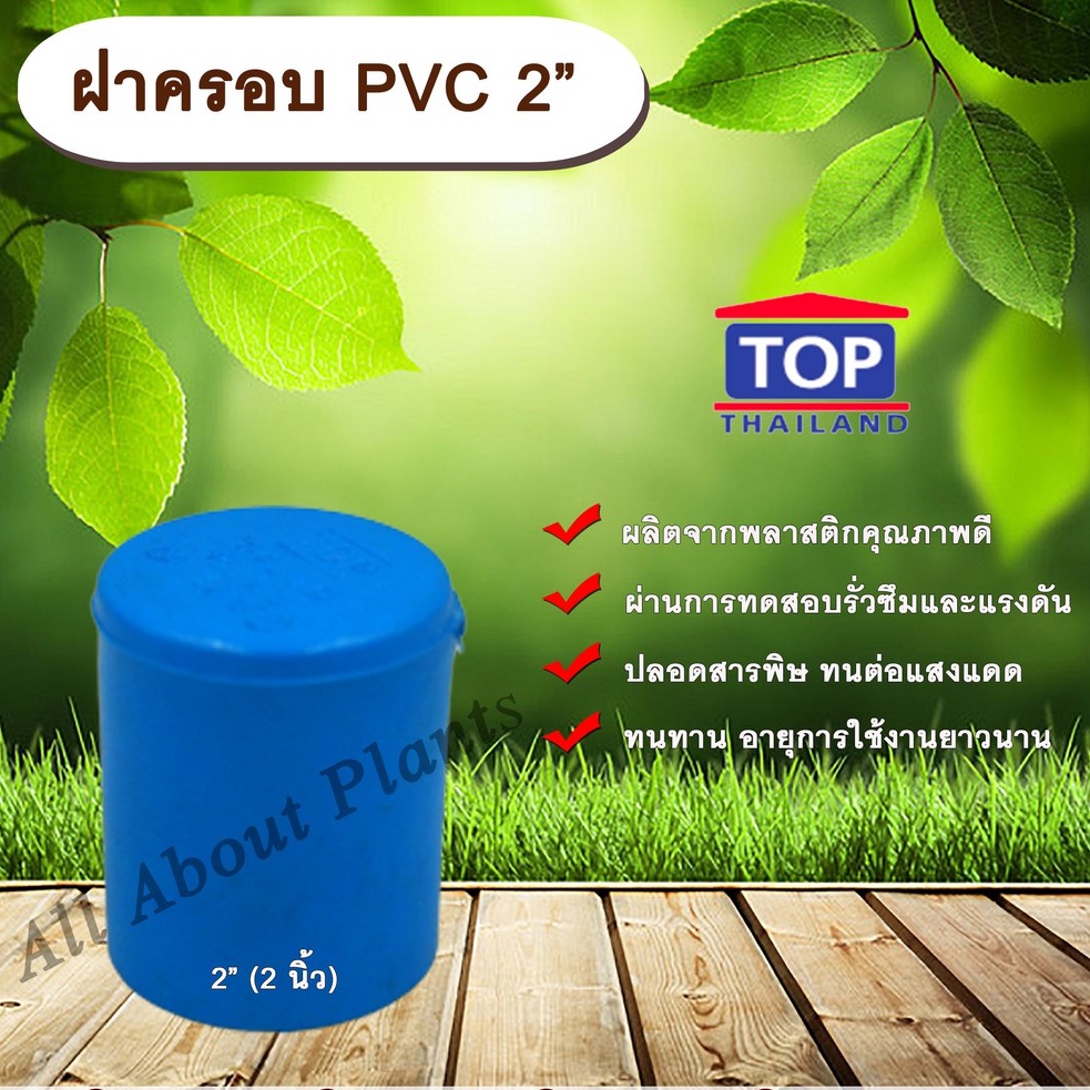 ฝาครอบ PVC ตรา TOP 2”(2นิ้ว) ฝาครอบท่อPVC ขนาด 2นิ้ว ตัวอุดท่อ ฝาปิดท่อพีวีซี allaboutplants