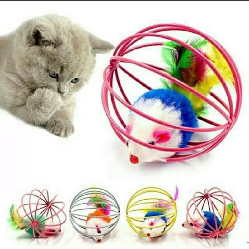 บอลกรงหนูของเล่นแมว (คละสี)