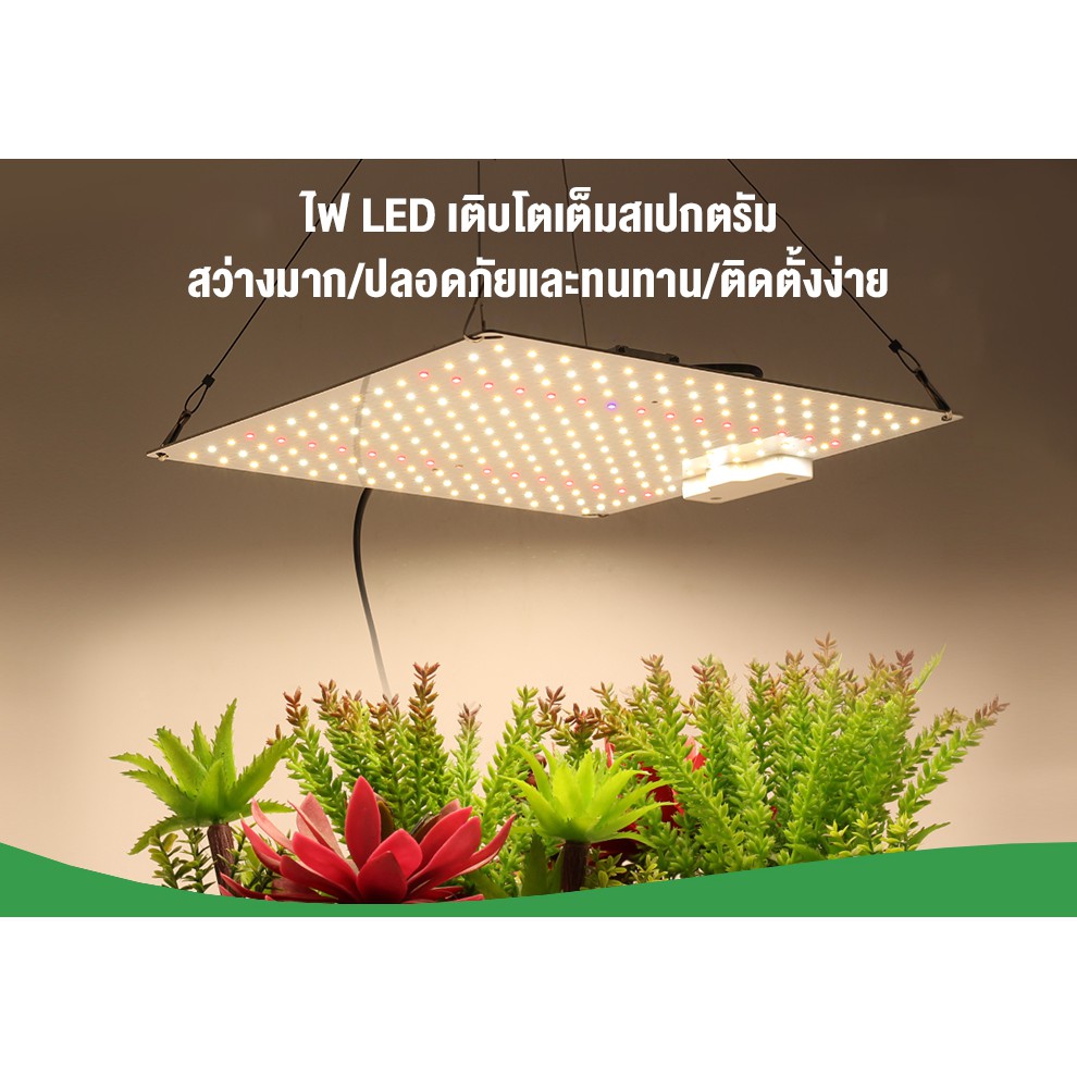 ไฟปลุกต้นไม้ LM281B Quantum 220V Full Spectrum โคมไฟ LED แบบเต็มสเปกตรัม 600W มีสวิตช์ปิดเปิด  สําหร