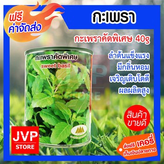 **ส่งฟรี**เมล็ดกะเพราคัดพิเศษ 40g. ตราภูเขาทอง ปลูกง่าย อัตราการงอกสูง ลำต้นแข็งแรง มีกลิ่นหอม