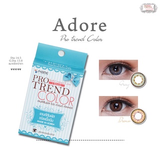 protrendcolor : คอนแทคเลนส์ รุ่น Adore brown / Adore gray