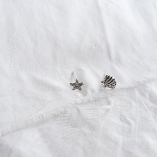 Silver925 earring