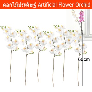 ดอกไม้ประดิษฐ์ ดอกไม้ปลอม ดอกไม้พลาสติก ดอกกล้วยไม้ สีขาว ยาว 60ซม.(6ช่อ) Artificial Flower Orchid White Length 60cm 6pc