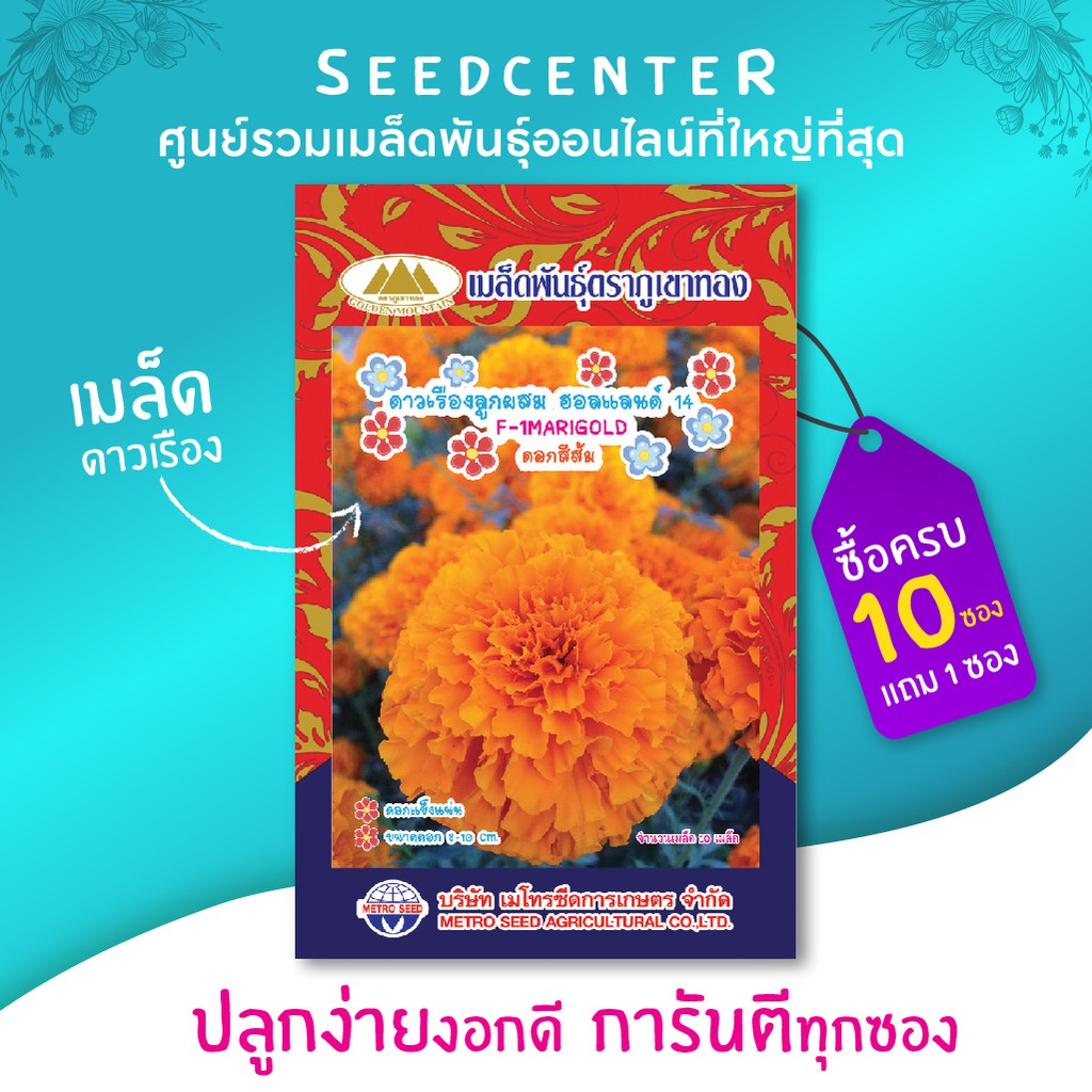 เมล็ดดอกดาวเรืองลูกผสมดอกสีส้ม ฮอนแลนด์ 14 ตราภูเขาทอง บรรจุ 10 เมล็ด