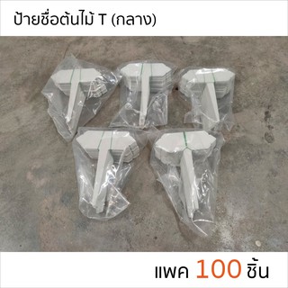 ป้ายชื่อต้นไม้ แบบปัก ตัว T ขนาดกลาง แพ็ค 100 อัน