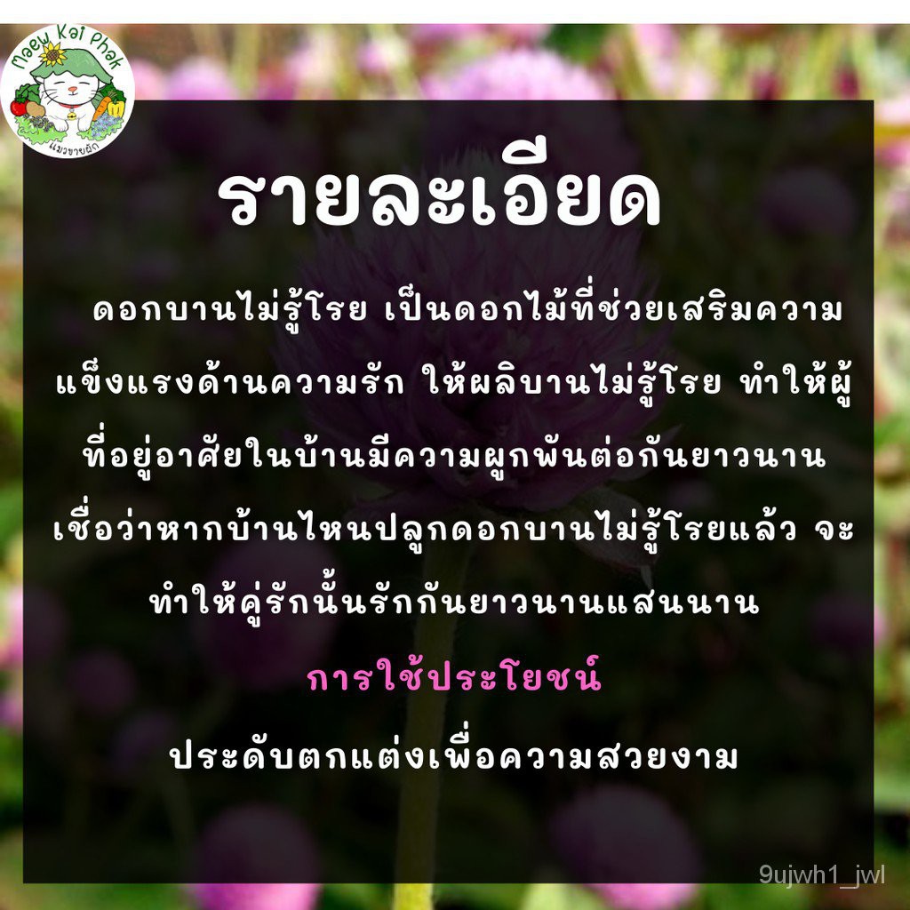 My Image 36