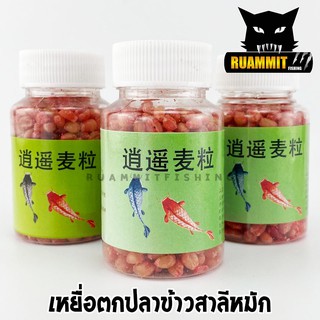 ข้าวสาลีหมัก สูตรพิเศษ สำหรับตกปลา สินค้าพร้อมใช้