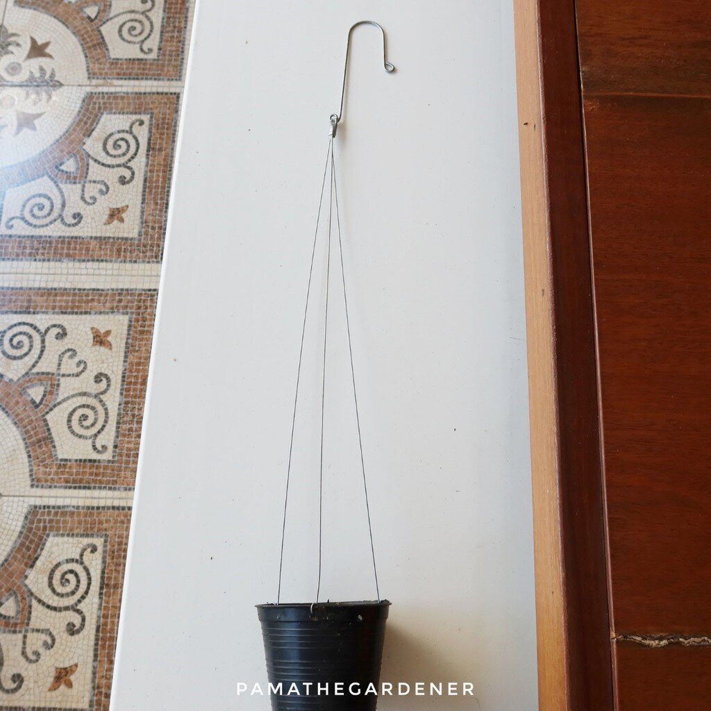 มุมมอง 3