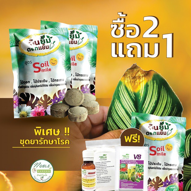เลือกของแถมได้ครับ Soil Smile 2 แถม 1 + ของแถม ดินยิ้ม ดอกแย้ม ด้วยนวัตกรรม ใหม่ ไบโอยิบซั่ม - Bio Gypsum