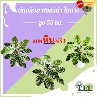 (ต้นไม้มงคล) ต้นกล้วยด่าง (ฟลอริด้า) สูง 55 ซม. ต้นไม้ปลอมตกแต่งบ้าน Leeartplants