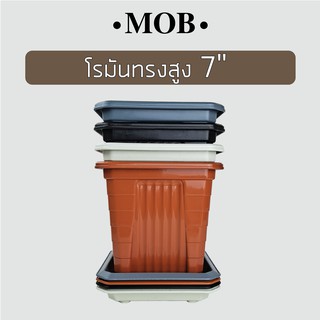 MOB กระถางทรงสูง 7 นิ้ว พร้อมจานรอง กระถางโรมัน กระถางสี่เหลี่ยม ทรงสูง ปลูกไม้ใบ