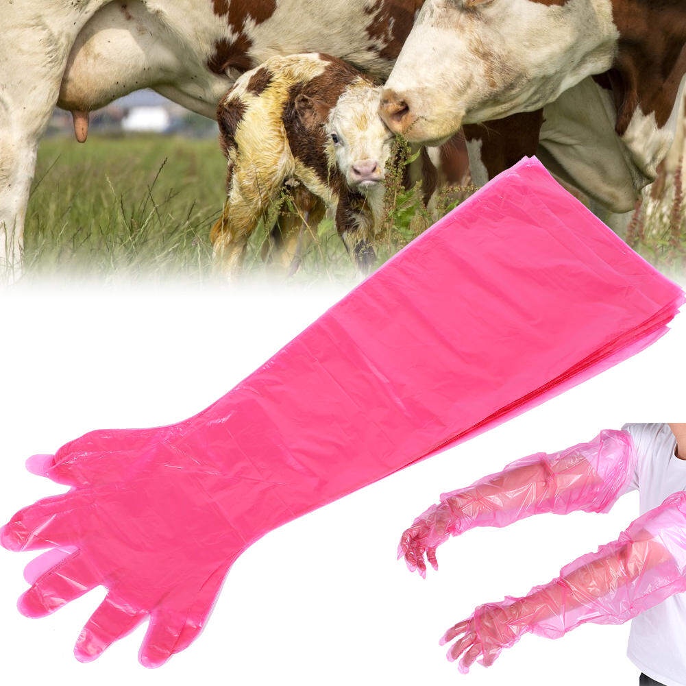 ถุงมือพลาสติกVeterinary Gloves 50Pcs Sleeve Glove for Veterinary