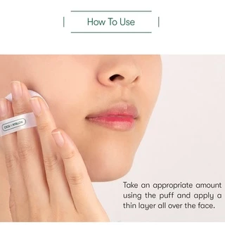 [VTCOSMETICS] Cica No Sebum Mild Powder 5g / No Sebum Moisture Powder / No Sebum UV Powder <Official Flagship>