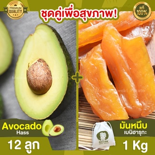 มันหนึบญี่ปุ่น 1kg + อะโวคาโด 12 ลูก Avocado Hass อะโวคาโด้ อโวคาโด อะโวคาโดสด มันหนึบม่วง มันหนึบ เบนิฮารุกะ