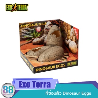 ที่ซ่อนตัว Exo Terra Dinosaur Eggs