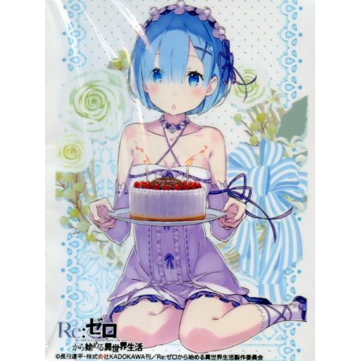 Bushiroad Sleeve Collection Extra Vol.199 Re:ZERO -Starting Life in Another World- "Rem" Novel ver. - สลีฟ, ซองคลุมการ์ด