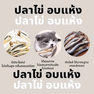 ฟรีซดรายแมว ปลาไข่ฟรีซดราย ปลาไข่ อบแห้ง ฟรีซดราย อบแห้ง ขนมแมว ขนมสุนัข freeze dried pet treat ขนมฟรีซดรายสัตว์ ขนมหมา