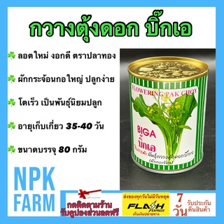 กวางตุ้งดอก บิ๊กเอ Big A ขนาด 80 กรัม ผักกระจ้อน เมล็ดพันธุ์ ลอตใหม่ งอกดี ปลูกง่าย กอใหญ่ ปลูกได้ทั้งปี ทนทานโรค