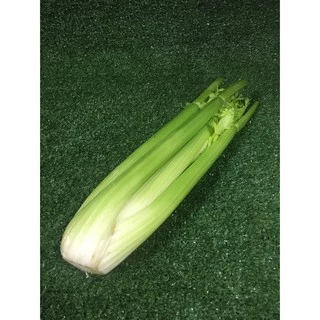 เซเลอรี่สด ปลอดสารพิษ- เซเรอลี่ มีใบรับรองปลอดสาร เซรารี่ เซลารี่ Celery ผักสด ขึ้นฉ่ายฝรั่ง ขึ้นช่ายฝรั่ง