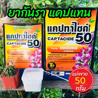 ยากันราแคปแทน (Captan - Captacide 50) ราในกระบองเพชร ไม้อวบน้ำ แคคตัส ไม้ประดับ ยาเพาะเมล็ด ฆ่าเชื้อราในดิน แบ่งขาย 50 g