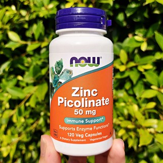 ซิงค์ พิโคลิเนต Zinc Picolinate 50 mg 120 Veg Capsules (Now Foods®) เสริมสร้างภูมิคุ้มกัน