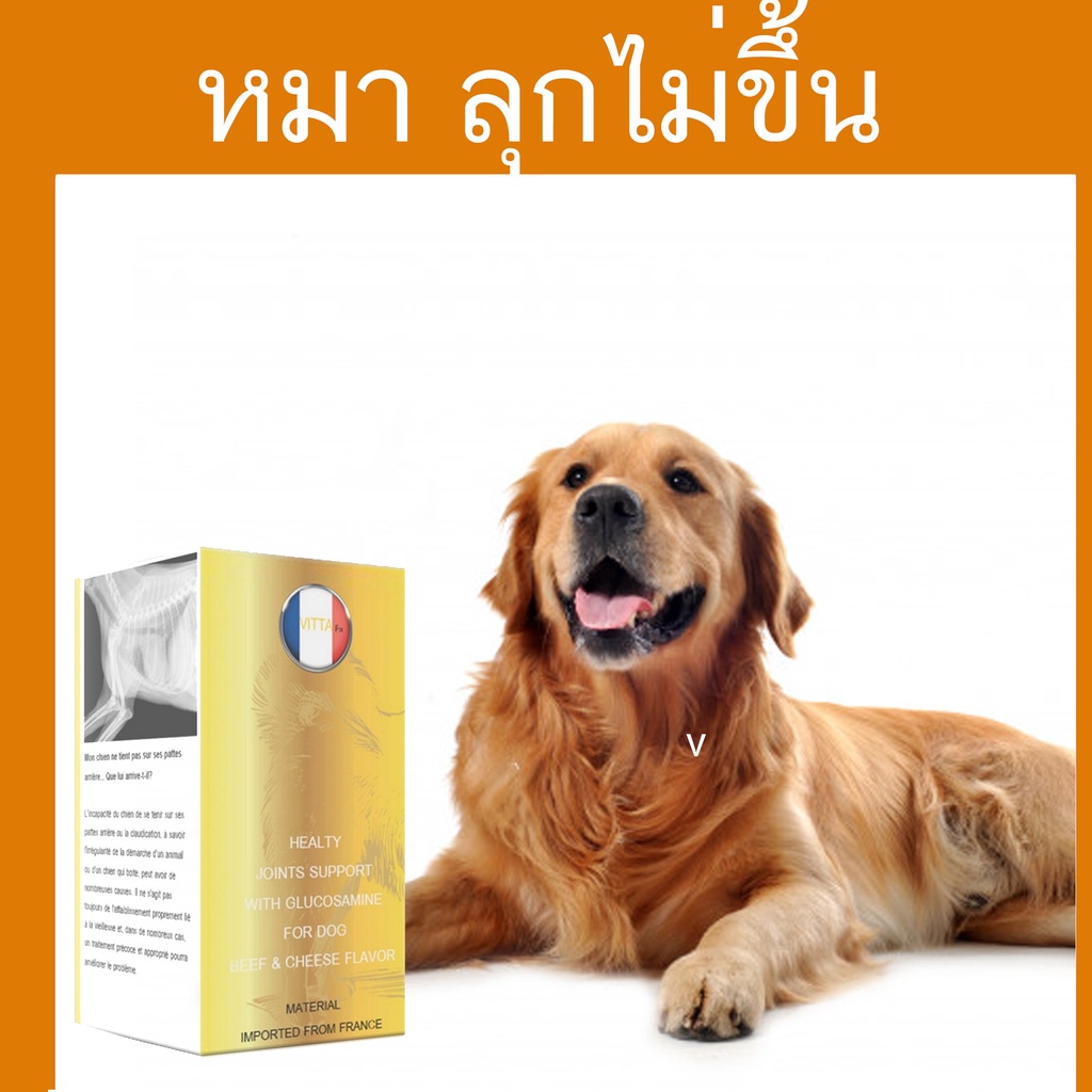 อาหารเสริม จำนวน 30 เม็ด ล็อตใหม่ สุนัข ขาหลัง ไม่มี แรง เดินไม่ได้
