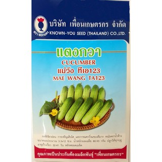 เมล็ดแตงกวา แม่วัง ผลสีเขียวอ่อน น้ำหนักผล 80-110 กรัม แตกกิ่งแขนงดี ทนโรค ปลูกได้ทุกฤดู