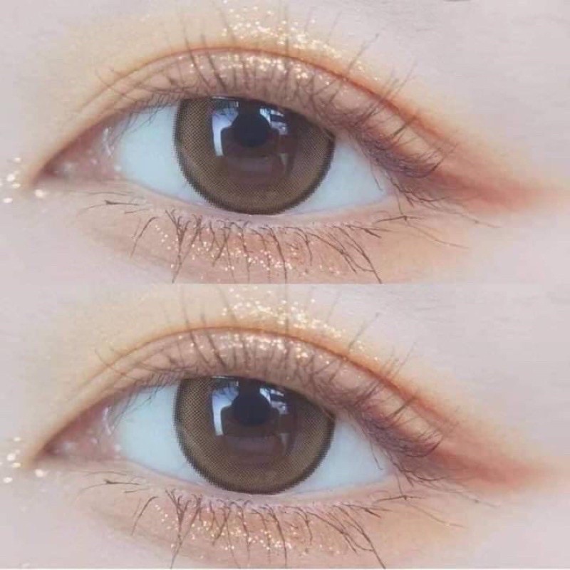 คอนแทคเลนส์ SeeShell Brown สีน้ำตาลขนาดตาโต มีสายตาถึง -7.00 ราคา ถูกที่สุด ดีลบีเคเค แกลเลอรีภาพที่ 4