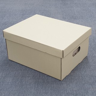 Storage box,กล่องเก็บของ,กล่องเก็บเอกสาร,กล่องจัดของ,กล่องใส่ของ,กล่องจัดระเบียบ,กล่องใส่รองเท้า