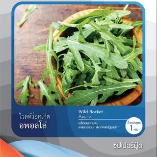 ไวล์ดร็อคเก็ต ~400 เมล็ด (Wild Rocket)​ #ผักสลัด #เมล็ด​พันธุ์​ #สลัด