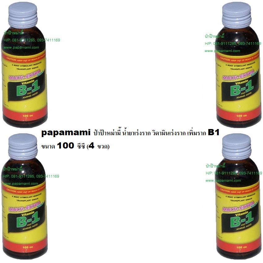 (4-6ขวดx100ซีซี) papamami B-1 บี-วัน น้ำยาเร่งราก IRINMULTI B1 น้ำยาเร่งราก วิตามินเร่งราก เพิ่มราก 