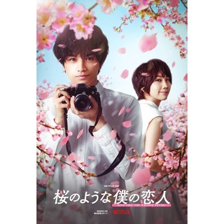 โปสเตอร์ Love like the falling petals, เคนโตะ นาคาจิมะ, โฮโนกะ มัตสึโมโตะ, ขนาด 11.5 x 16.5 นิ้ว (A3)