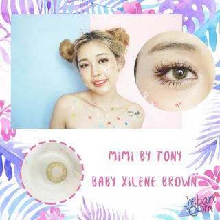 คอนแทคเลนส์ Mimibytoni: Baby Xilene Brown ขนาดเท่าตา