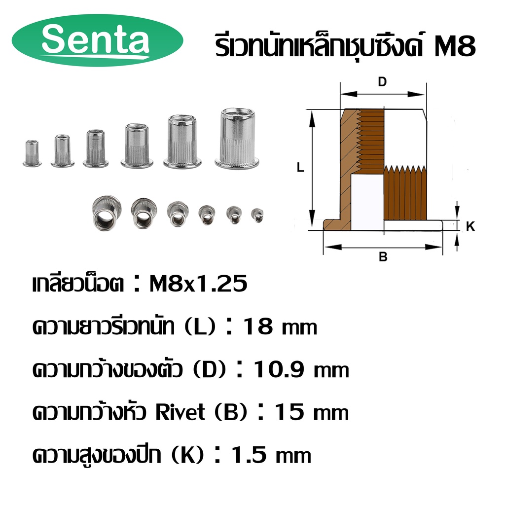 รีเวทนัท รีเวทนัทเหล็กชุบซิ้งค์ M3 M4 M5 M6 M8 M10 M12 สำหรับสกรู (STEEL RIVET NUT ZINC PLATED) ลูกรีเวท รีเวท ราคา ถูกที่สุด ดีลบีเคเค แกลเลอรีภาพที่ 7