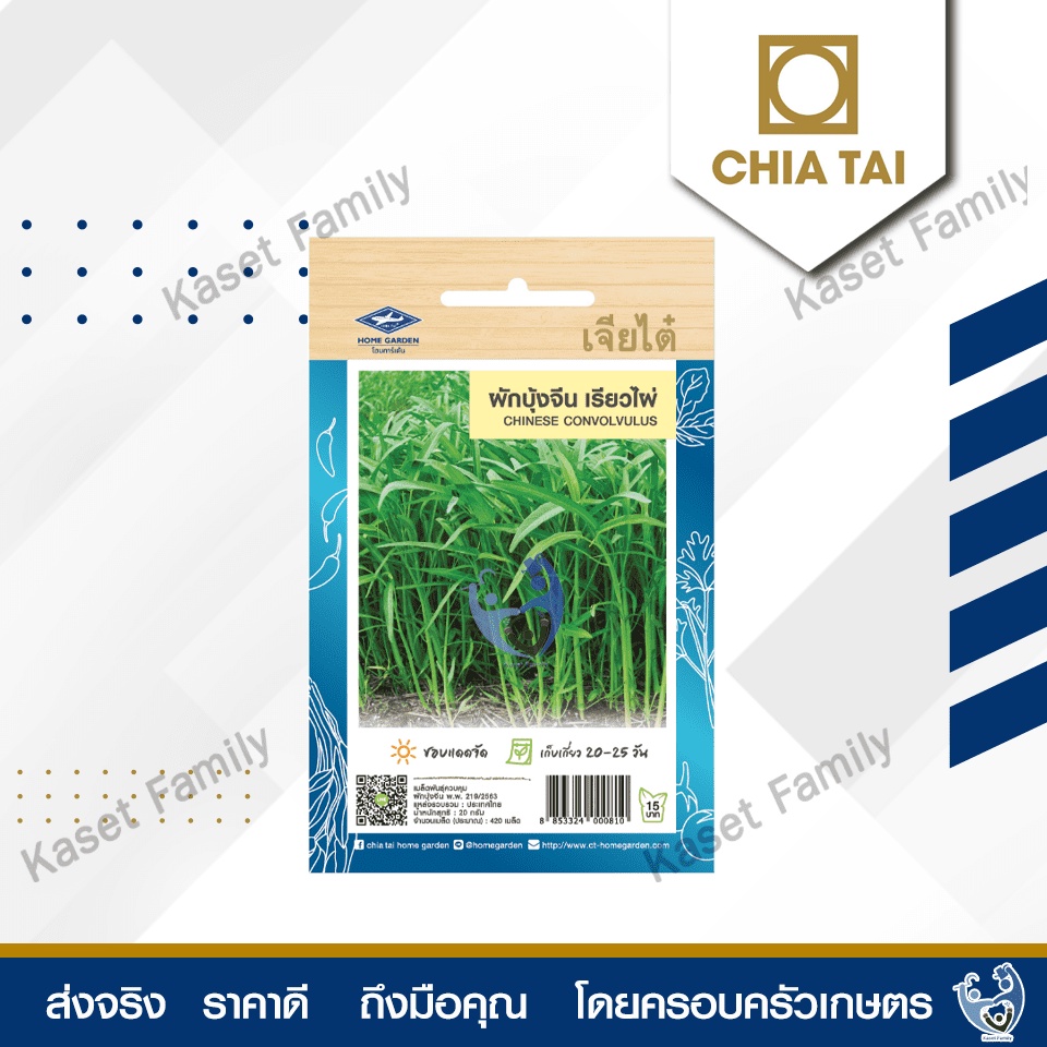 ผักซอง ผักบุ้งจีนเรียวไผ่ 420 เมล็ด เมล็ดผักบุ้งจีน ตราเจียไต๋