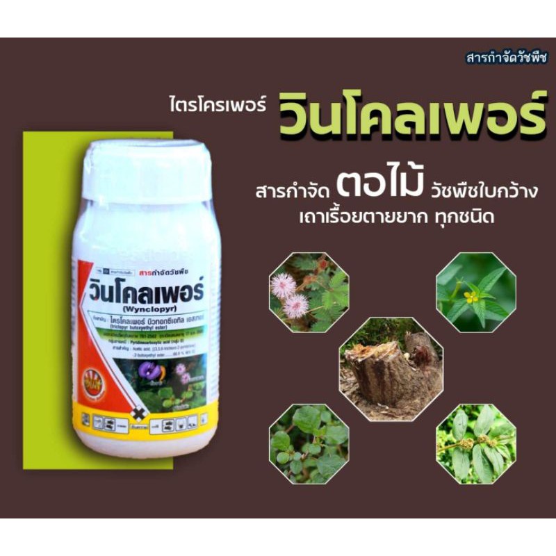 ☠ 250ml วินโคลเพอร์ ไตรโคเพอร์ สารกำจัดวัชพืชใบกว้าง โสนต่างๆ เถาเครือ เถาเลื้อย ไมยราบหนาม ตอไม้ต่า